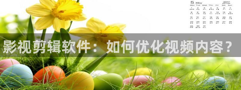 久久99视频只有精品：影视剪辑软件：如何优化视频内容？