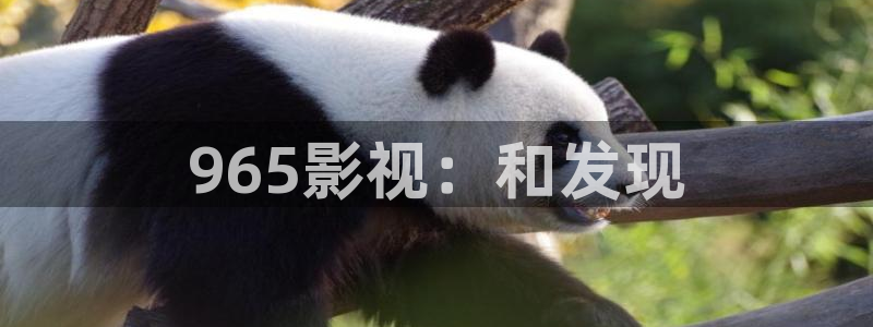 久久三级午夜电影：965影视：和发现