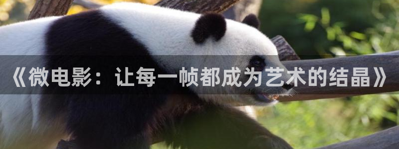久久视频九九视频：《微电影：让每一帧都成为艺术的结晶》