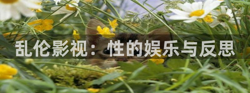 久久视频精品在线观看视频：乱伦影视：性的娱乐与反思
