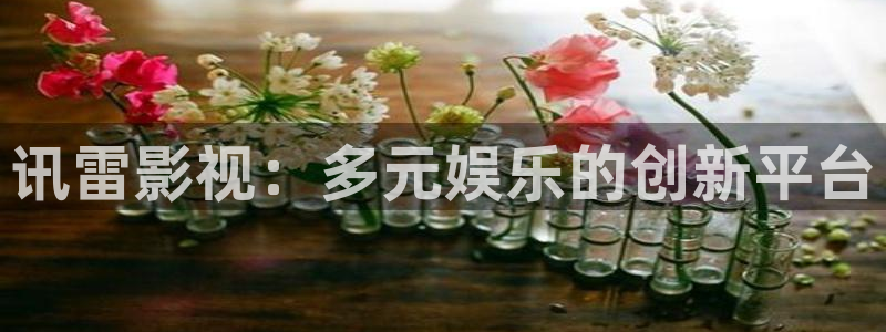 久久精品日本视频：讯雷影视：多元娱乐的创新平台