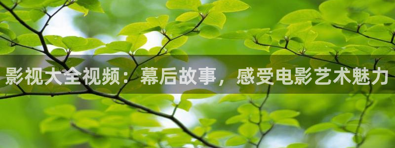 久久免费观看在线看：影视大全视频：幕后故事，感受电影艺术魅力