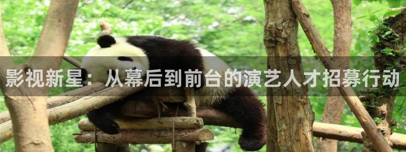 久久免费视频a：影视新星：从幕后到前台的演艺人才招募行动