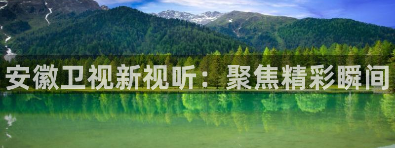 一区二区久久精品视频：安徽卫视新视听：聚焦精彩瞬间