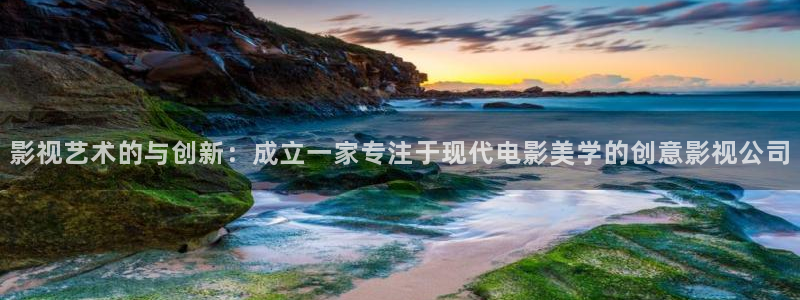 青久久久视频2019：影视艺术的与创新：成立一家专注于现代电影美学的创意影视公司