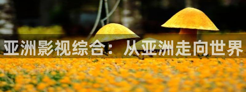 久久精品日韩视频